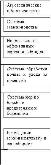 :  -   