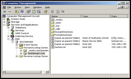  DNS-