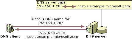  DNS-