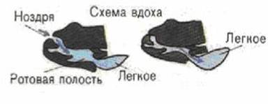 : image006.jpg