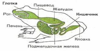 : image004.jpg