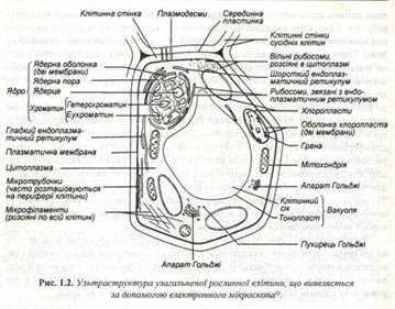 : C:\Documents and Settings\\ \ \\ 026.jpg
