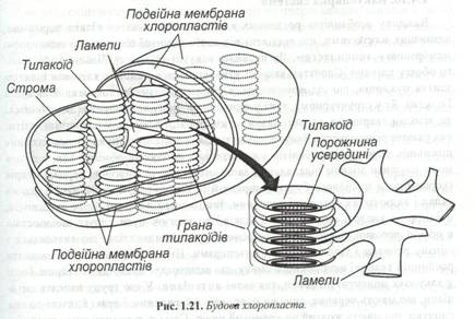 : C:\Documents and Settings\\ \ \\ 046.jpg