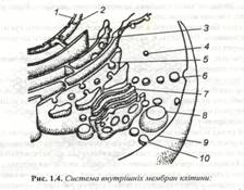 : C:\Documents and Settings\\ \ \\ 024.jpg