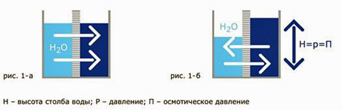 : ris_1a.jpg
